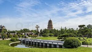 贝博中国 四川采乐绿化工程有限公司